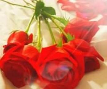5867016448, female escort, Port Huron